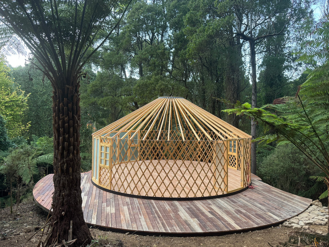 Wooden yurt in a forest setting