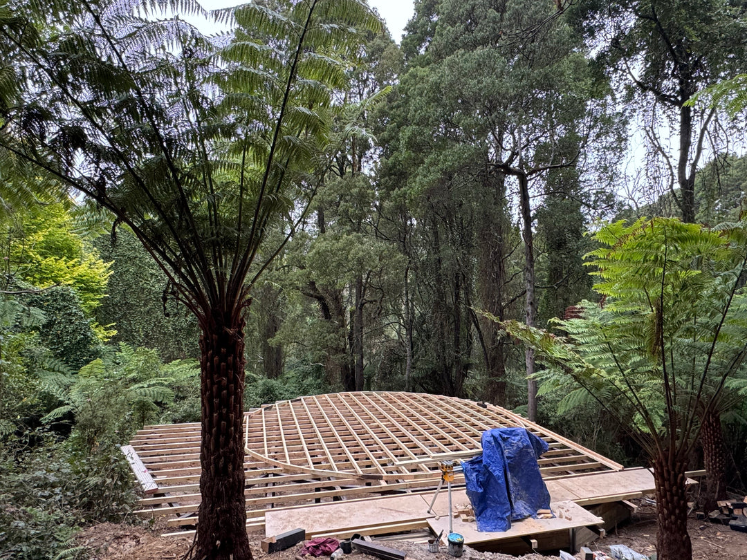 Wooden yurt base structure in a forest setting with trees and greenery around.