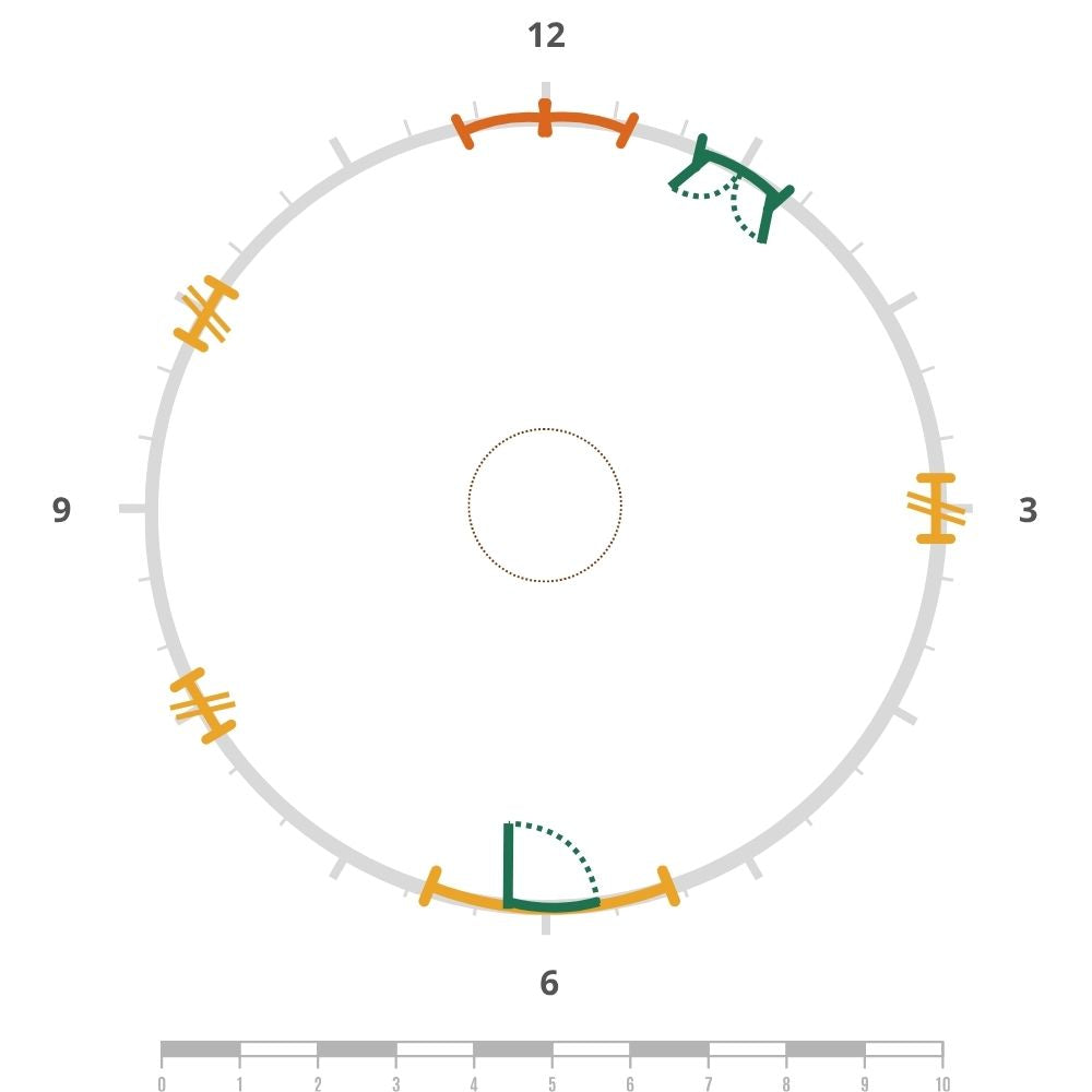 Yurt clockface diagram showing doors and windows positioned around the circular layout to shape light, airflow, views and privacy.