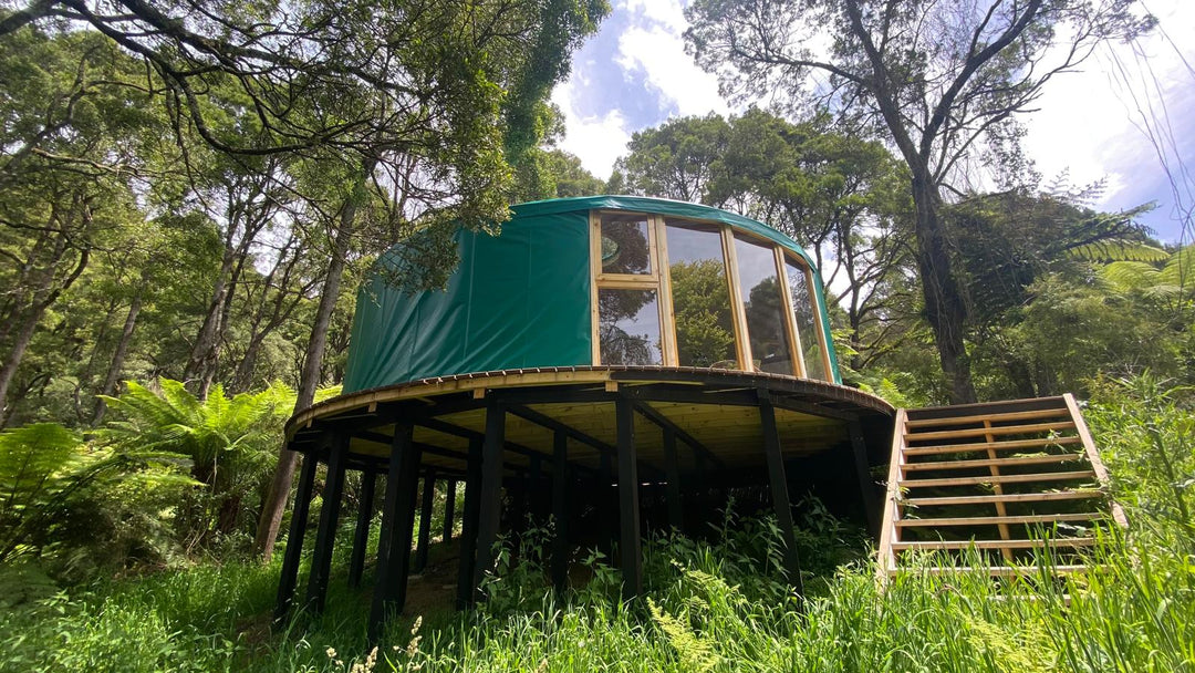 8 metre yurt with lots of windows surrounded by trees