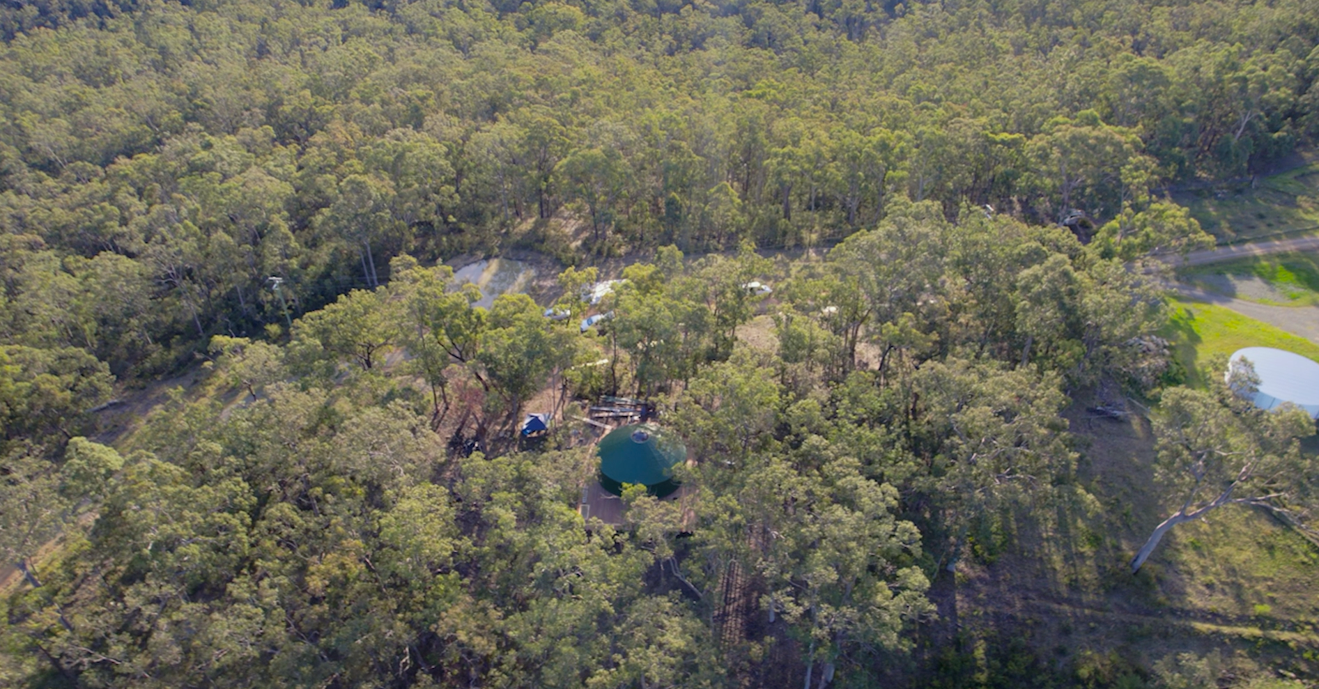 Green yurt hidden by trees