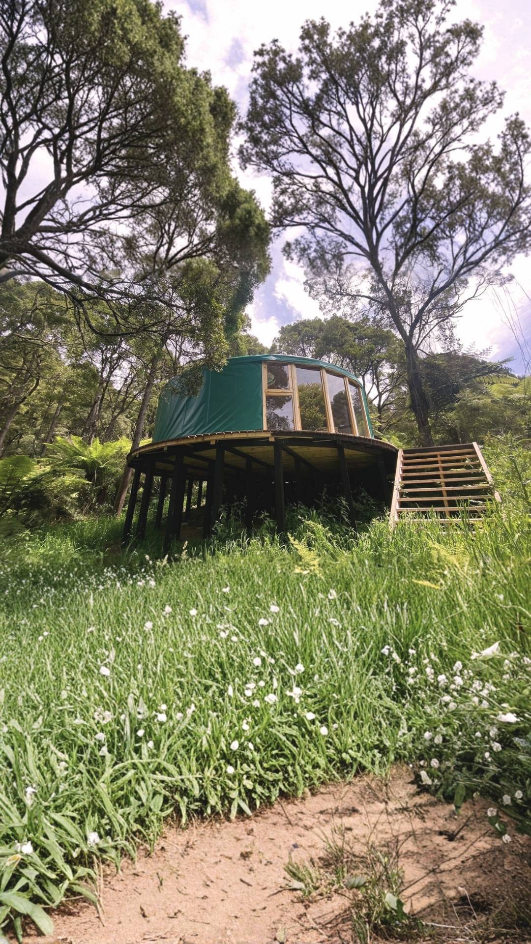 Green yurt set among trees on a natural landscape, showing how the structure integrates with surrounding land