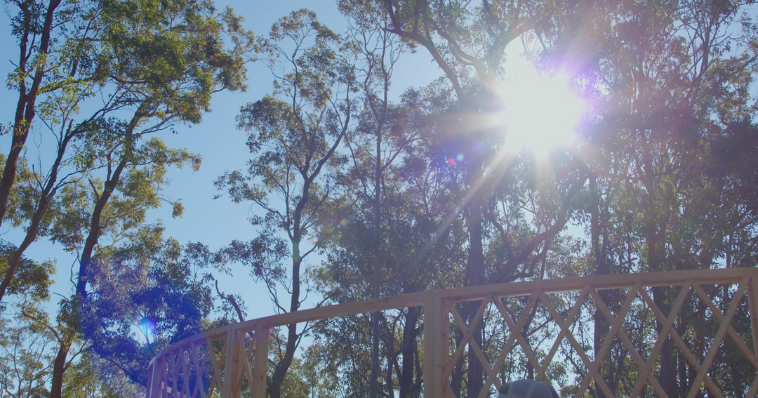 Sun coming through the trees during yurt installation
