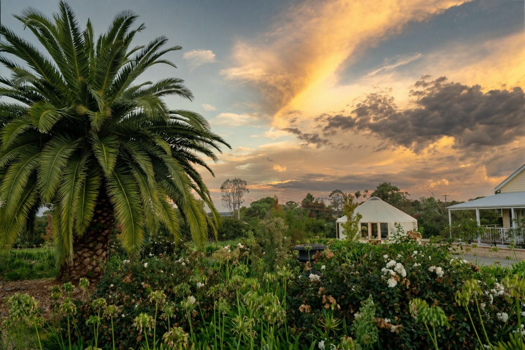 Premium modular yurt set among a landscaped Australian garden at sunset, used as a lifestyle retreat, studio or personal living space.