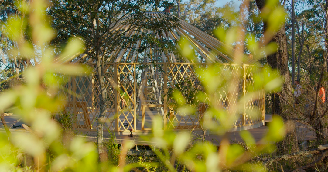 Yurt skeleton hidden by trees